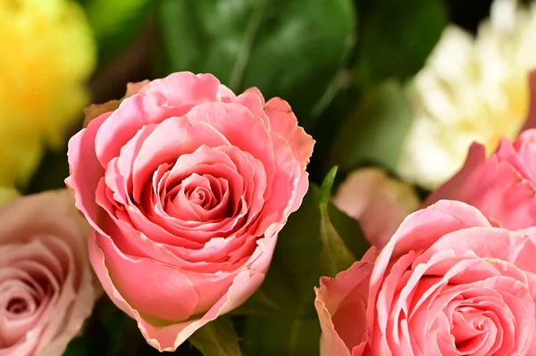 Krásná Růžová Růže Kytice Zblízka Pohled — Stock fotografie