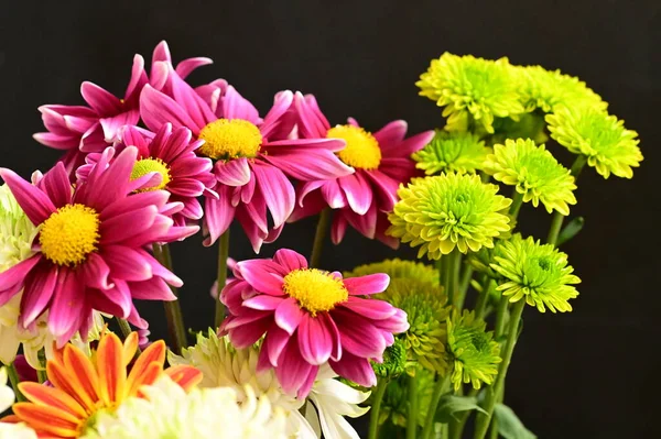 stock image beautiful bouquet of flowers, close up view, summer concept