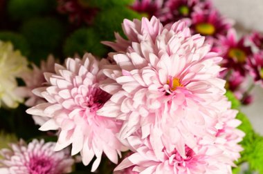 Buketteki güzel çiçeklere yakın.