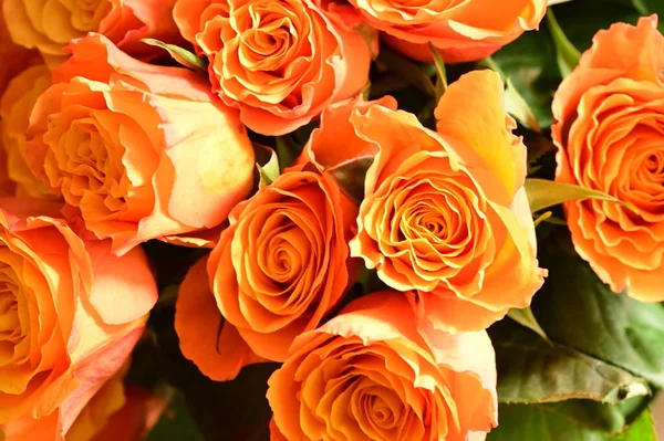Hermoso Ramo Rosas Naranjas Vista Cerca —  Fotos de Stock