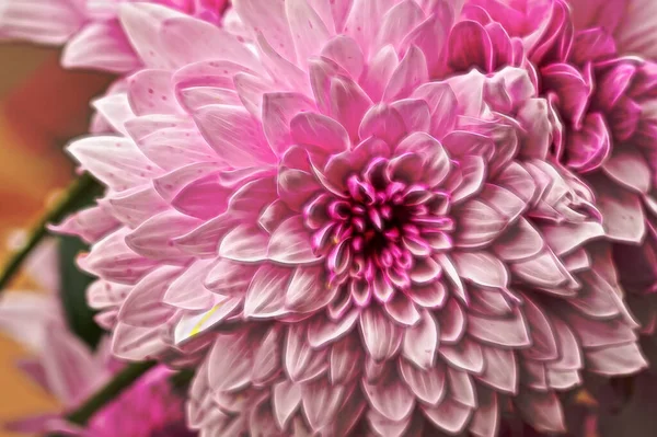 Primer Plano Hermosas Flores Ramo — Foto de Stock