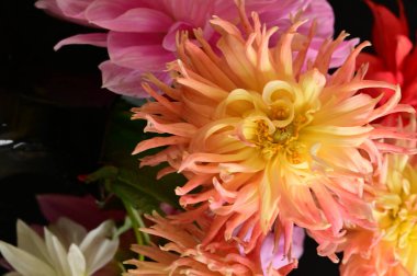 Güzel bir buket çiçek, yakın manzara, yaz konsepti.