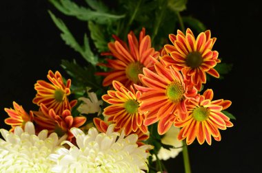 Güzel bir buket çiçek, yakın manzara, yaz konsepti.