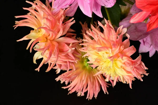 花束の中の美しい花の終わり — ストック写真