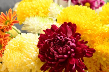 Güzel bir buket çiçek, yakın manzara, yaz konsepti.