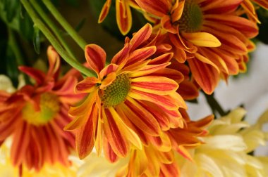 Buketteki güzel çiçeklere yakın.