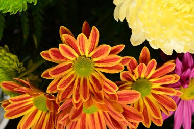 Buketteki güzel çiçeklere yakın.