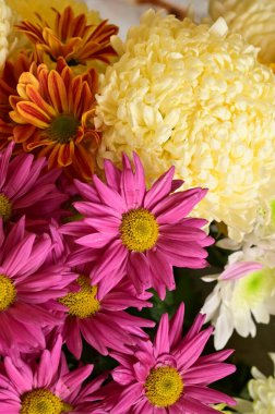 Güzel bir buket çiçek, yakın manzara, yaz konsepti.