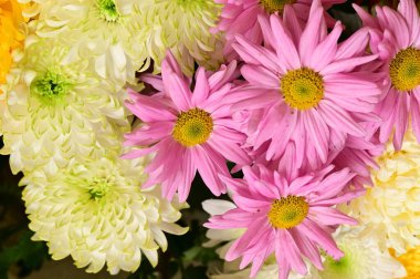 Güzel bir buket çiçek, yakın manzara, yaz konsepti.