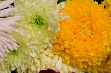 Güzel bir buket çiçek, yakın manzara, yaz konsepti.