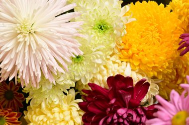 Güzel bir buket çiçek, yakın manzara, yaz konsepti.