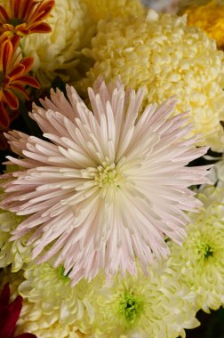 Güzel bir buket çiçek, yakın manzara, yaz konsepti.