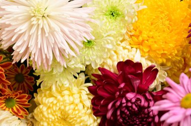 Güzel bir buket çiçek, yakın manzara, yaz konsepti.