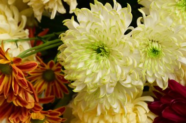 Güzel bir buket çiçek, yakın manzara, yaz konsepti.