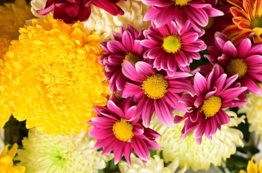 Güzel bir buket çiçek, yakın manzara, yaz konsepti.