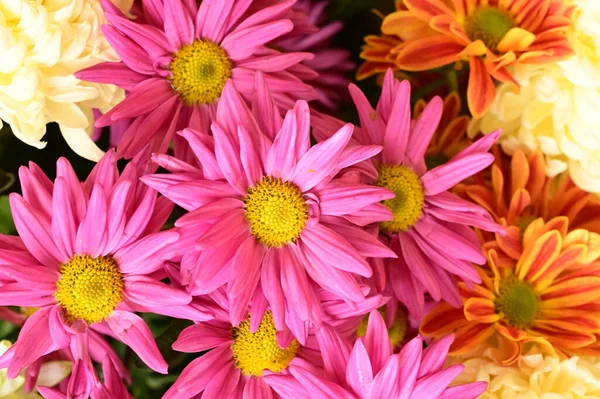 아름다운 꽃다발 가까이 컨셉트 — 스톡 사진