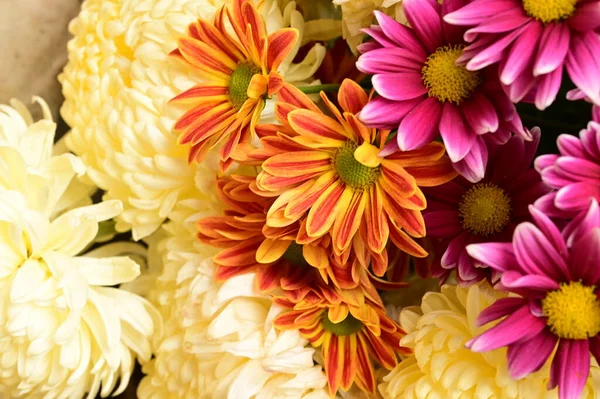 stock image beautiful bouquet of flowers, close up view, summer concept