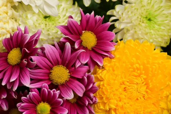Krásná Kytice Květin Zblízka Pohled Letní Koncept — Stock fotografie