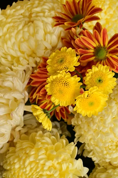 Красивий Букет Квітів Вид Крупним Планом Літня Концепція — стокове фото