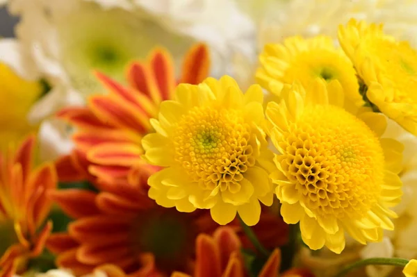 아름다운 꽃다발 가까이 컨셉트 — 스톡 사진