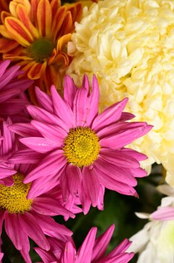 Güzel bir buket çiçek, yakın manzara, yaz konsepti.