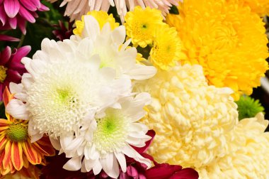 Güzel bir buket çiçek, yakın manzara, yaz konsepti.