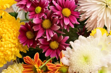 Güzel bir buket çiçek, yakın manzara, yaz konsepti.