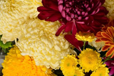 Güzel bir buket çiçek, yakın manzara, yaz konsepti.