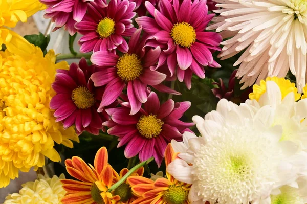 Schöner Blumenstrauß Nahsicht Sommerkonzept — Stockfoto