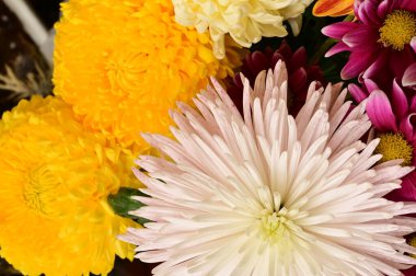 Güzel bir buket çiçek, yakın manzara, yaz konsepti.