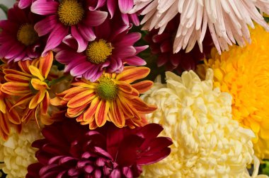 Güzel bir buket çiçek, yakın manzara, yaz konsepti.