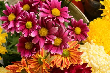 Güzel bir buket çiçek, yakın manzara, yaz konsepti.