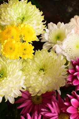 Güzel bir buket çiçek, yakın manzara, yaz konsepti.