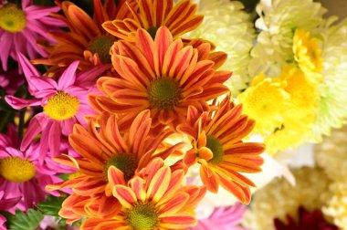 Güzel bir buket çiçek, yakın manzara, yaz konsepti.