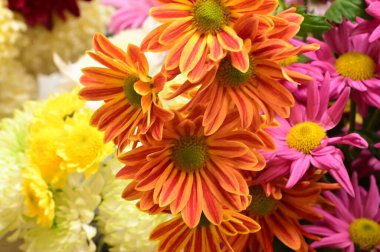 Güzel bir buket çiçek, yakın manzara, yaz konsepti.