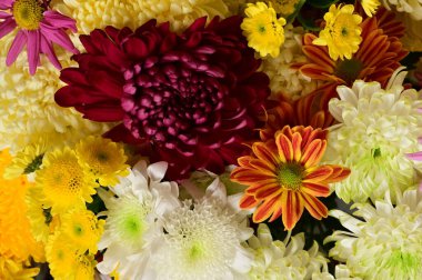 Güzel bir buket çiçek, yakın manzara, yaz konsepti.