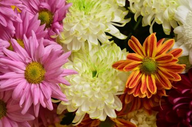 Güzel bir buket çiçek, yakın manzara, yaz konsepti.