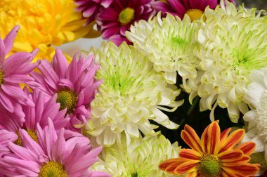 Güzel bir buket çiçek, yakın manzara, yaz konsepti.