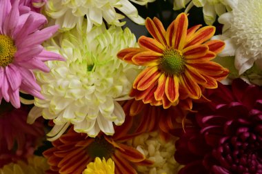 Güzel bir buket çiçek, yakın manzara, yaz konsepti.