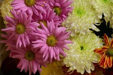 Güzel bir buket çiçek, yakın manzara, yaz konsepti.