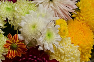 Güzel bir buket çiçek, yakın manzara, yaz konsepti.