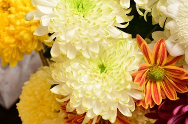 Güzel bir buket çiçek, yakın manzara, yaz konsepti.