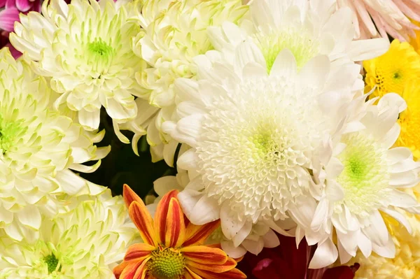 Schöner Blumenstrauß Nahsicht Sommerkonzept — Stockfoto