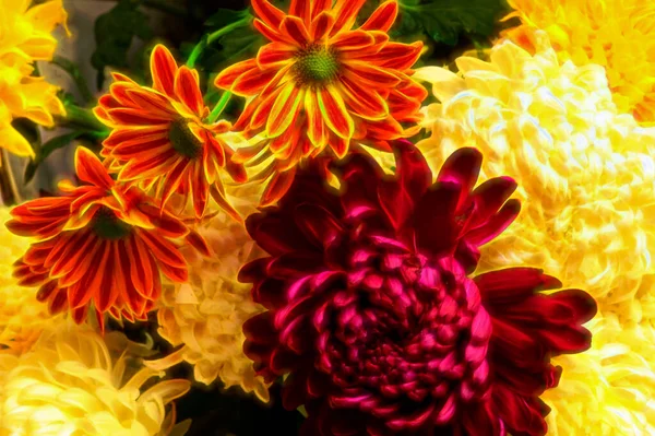 美しい花の花束を間近で見られる夏のコンセプト — ストック写真