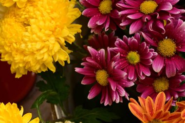 Güzel bir buket çiçek, yakın manzara, yaz konsepti.