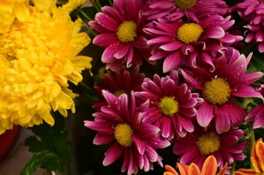 Güzel bir buket çiçek, yakın manzara, yaz konsepti.