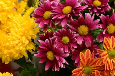 Güzel bir buket çiçek, yakın manzara, yaz konsepti.