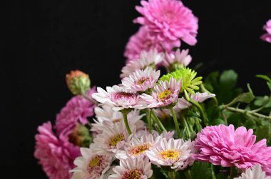 Siyah arkaplanda beyaz ve pembe çiçekler