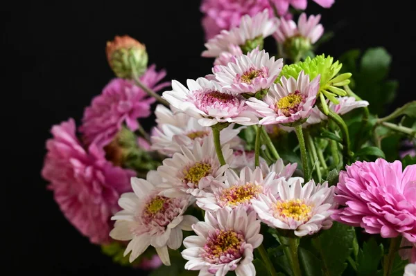 stock image white and pink flowers on black background