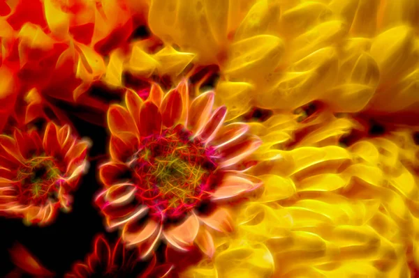 Close Beautiful Bright Autumn Flowers — Stock Photo, Image
